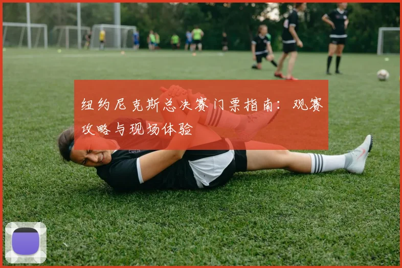纽约尼克斯总决赛门票指南:观赛攻略与现场体验